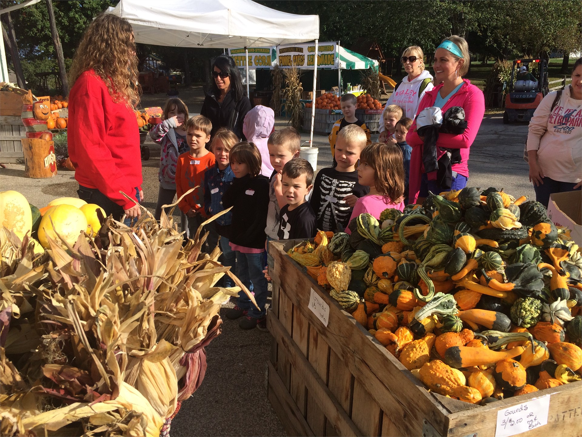 Kindergarten Trip to Patterson Farm