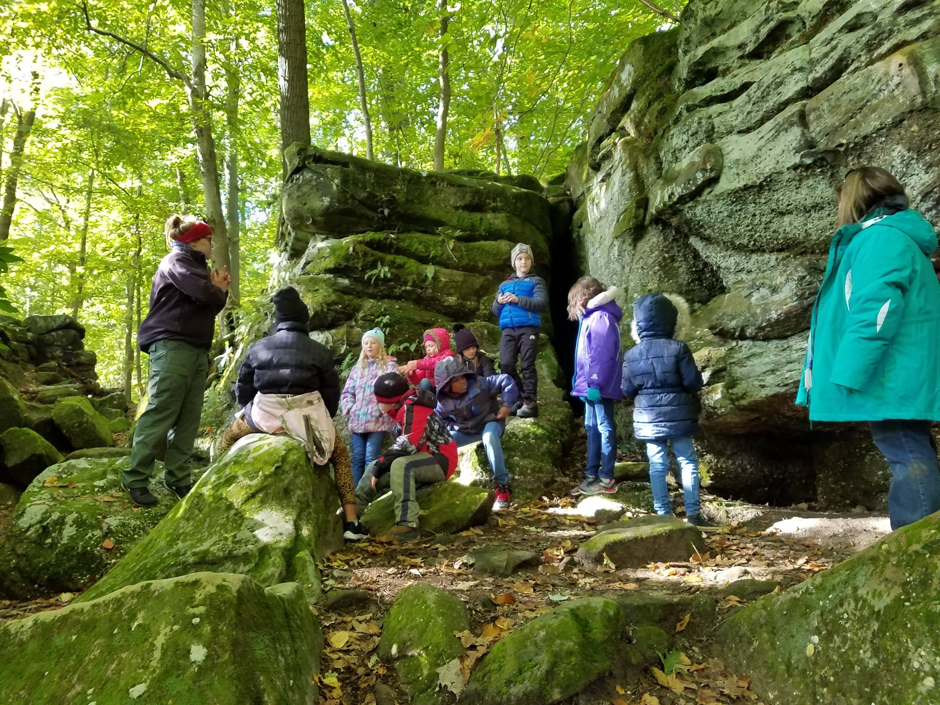 Field Trip to Chapin Forest!