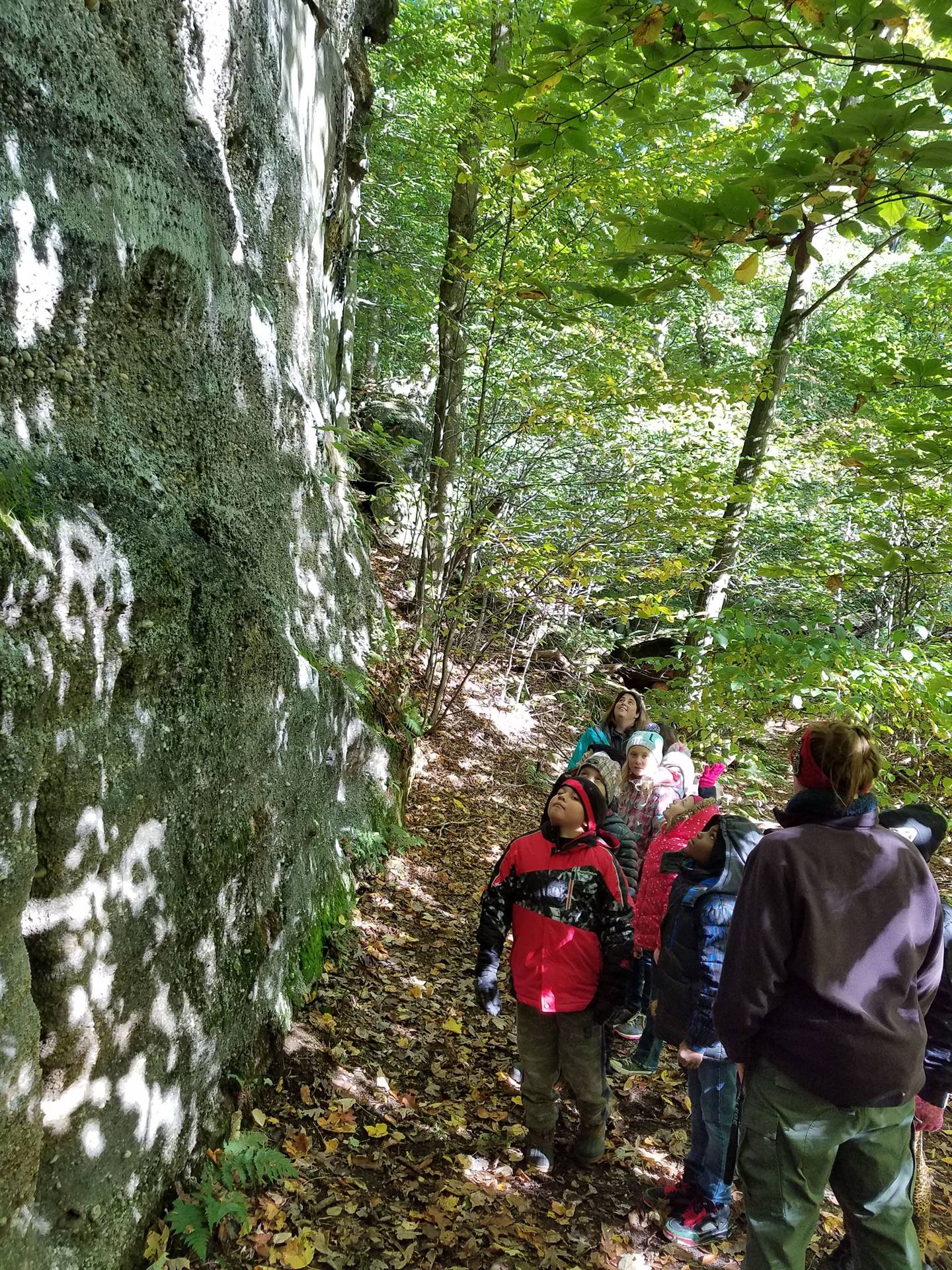 Field Trip to Chapin Forest!
