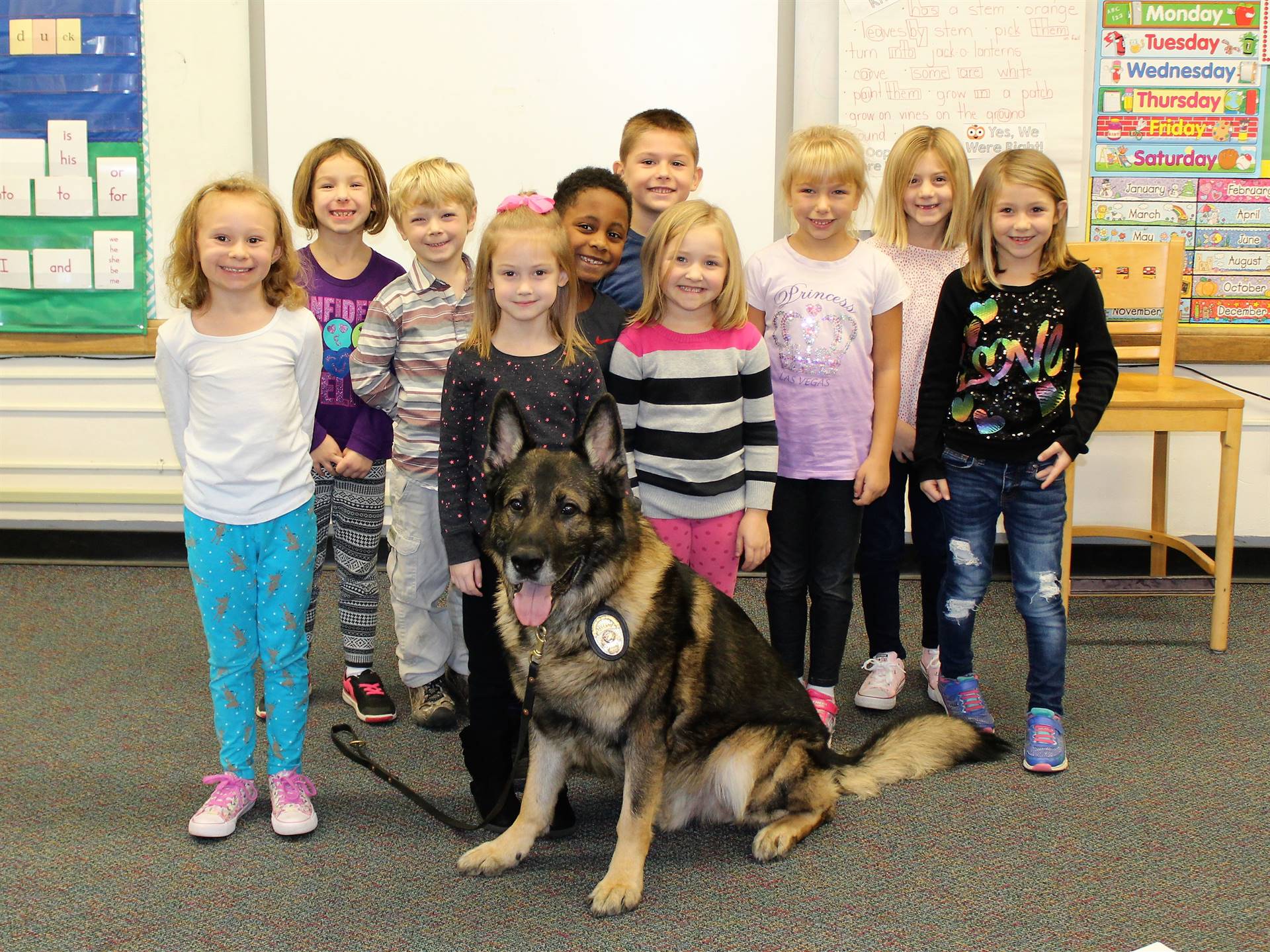 K9 Bo 