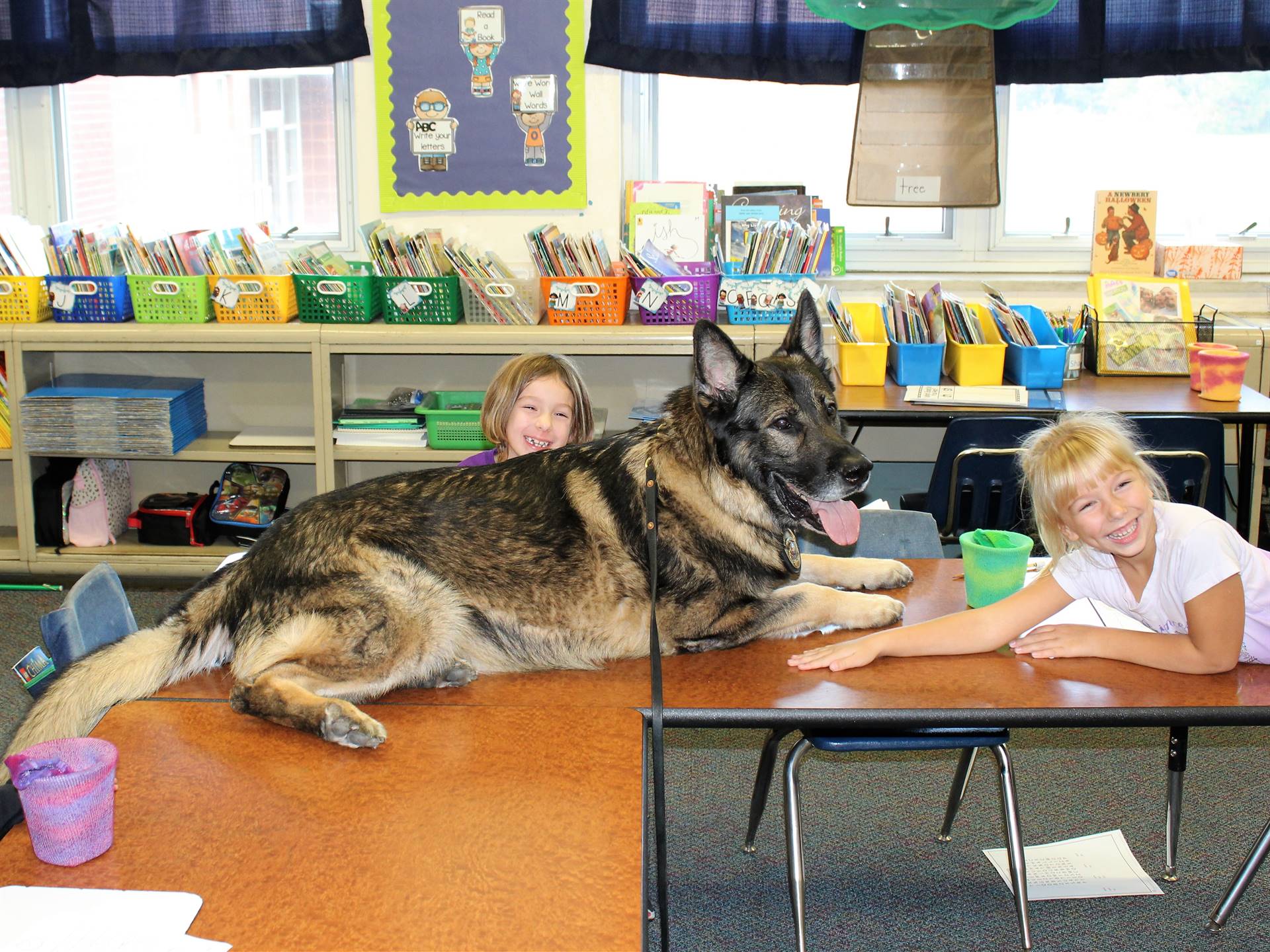 K9 Bo